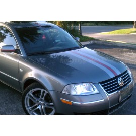 ORACAL 2 color Racing Stripe Graphics fit ANY YR Volkswagen Passat, Jetta, Beetle Golf