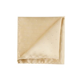 Allegra K Men's Pocket Squares Classic Satin Polka Dots Solid Color Handkerchiefs for Wedding Business One Size Champagne