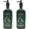 Bath and Body Works Aromatherapy Body Lotion Eucalyptus Spearmint (2-Pack),