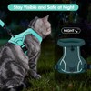 Dotoner Escape Proof Cat Harness and Leash Set Adjustable Soft