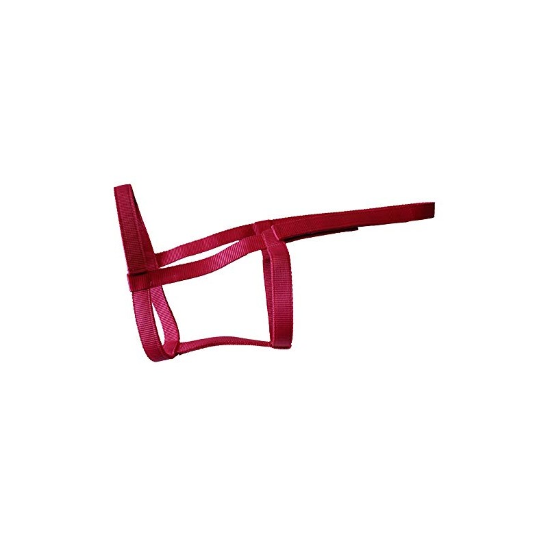 Rhinegold Field Safe Headcollar Raspberry pony
