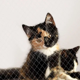 Cat net balcony safety net protective cat net size 3 x 4 m (S)