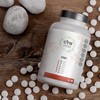 CYB Zinc - 25mg Pure, High Dose Zinc - Vegan