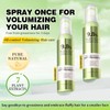 QUARXERY Dry Shampoo Spray - Oil Control Volumizing Small Face