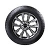 GT Radial IcePro 3 Winter 215/55R16 97T XL Passenger Tire