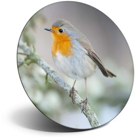 Destination Vinyl ltd Magnet for Refrigerator, Fridge - Cute Winter Red Robin Bird Garden for Office, Cabinet and Whiteboard, Magnetic Stickers, 24115