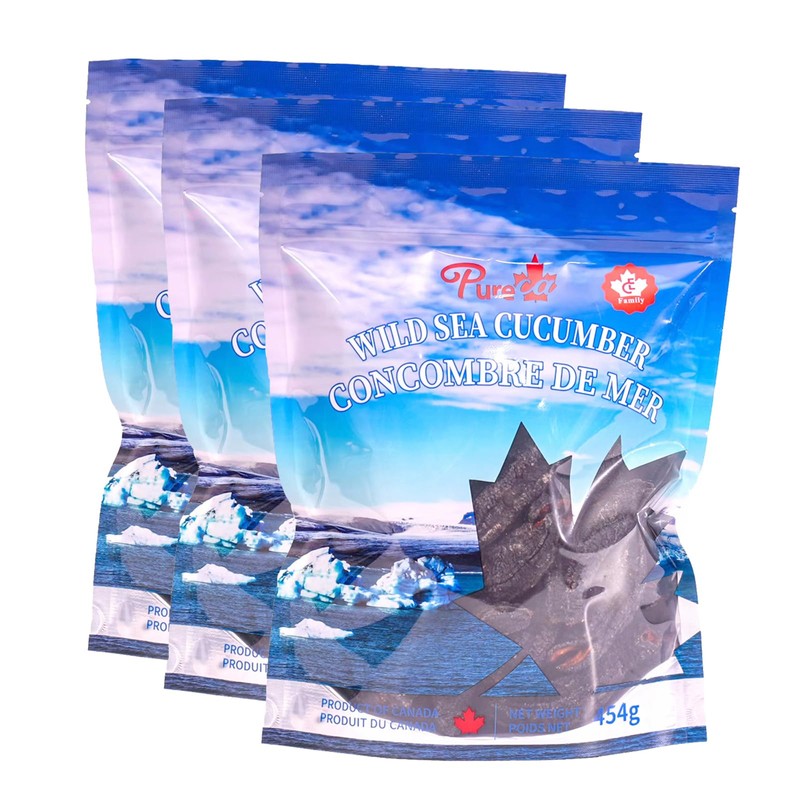 Dried Sea Cucumber Premium Deep Sea Atlantic Canada Wild Caught