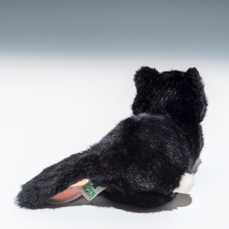 Petite Assorted – Box- (Mini) (A) Black Cat