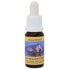 Pink Dolphin Essence