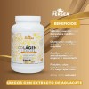 Persea Colageno Hidrolizado Sabor