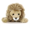 Carolata Lion Plush Toy (Parent/Male, Inspected 2 Degrees, Width 8.7