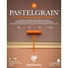 Clairefontaine 976061C Pastelgrain No. 2 - 12 Sheets Special Dry