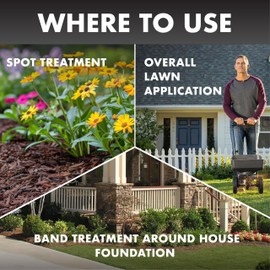 Spectracide Triazicide Insect Killer For Lawns Granules, 10 lb Bag (Pack of 4) , Kills All Listed Lawn-Damaging Insects