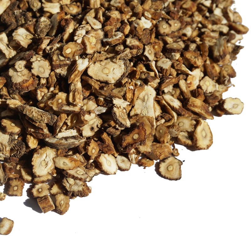 Dandelion Coffee Dandelion Coffee Dandelion Coffee Dandelion Dandel