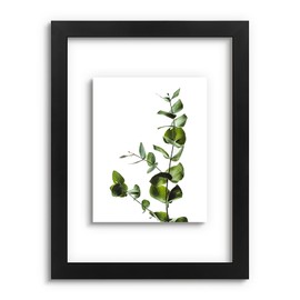 12x16 Pressed Flower Frames - Black Floating Frame - Real Glass Front - Display 8.5x11 Picture with Floating or 12x16 Picture without Floating - Solid Wood Frame for Wall Mounting - Black - 1 Pack