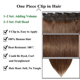 Clip-In Hair Extensions Human Hair Hair Extensions Head Hair Extensions 5 Clips One Braid