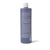 Ion shampoo protector de color 1Lt