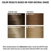 AGE beautiful Permanent Hair Color Dye Liqui Creme | 100%