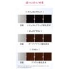 Labomo Scalp Aroma Hair Color Treatment Lumier (Brown)