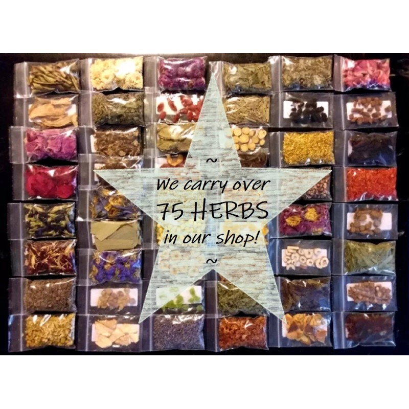 Trifecta Botanicals PROTECTION Intention Spell Kit ~ Herbs / Salt