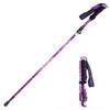 Hiking Walking Trekking Pole - Lightweight Aluminum Ergonomic EVA Handles,