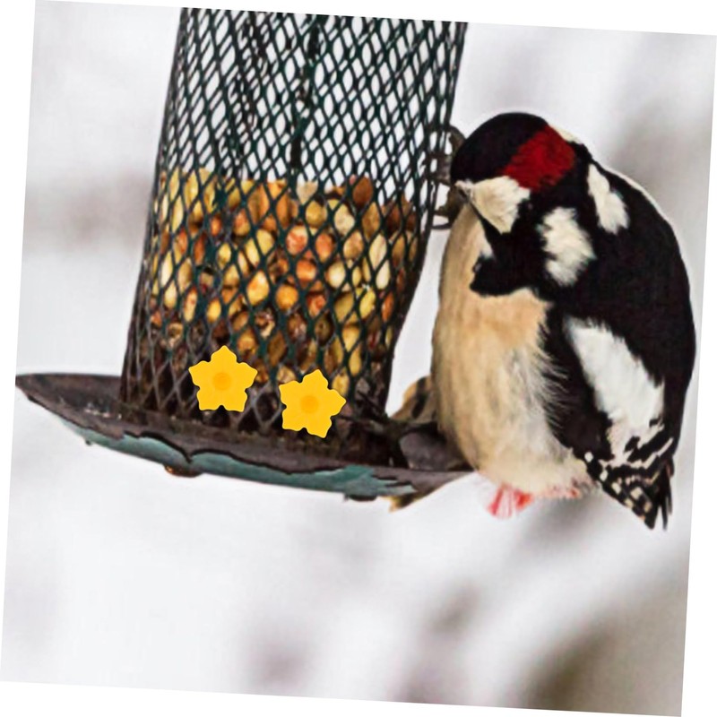 FUNOMOCYA Plastic Bird Feeder Flower Accessories Replacement Parts for Wild-Bird