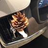 Lady Pinecone - aromatherapy kit in the car with 1