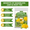 Premium Dandelion Leaf & Root Tea,50 Tea Bags /3.53Oz, for