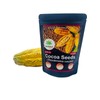 Organic Cocoa Seeds, Cacao Seeds, Theobroma cacao 50 Seeds Pack