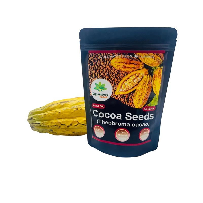Organic Cocoa Seeds, Cacao Seeds, Theobroma cacao 50 Seeds Pack