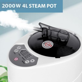 Hosoution 4L Sauna Steamer, Fcc Certified 4L & 2000W Steam Generator, Sauna Steamer Machine with Remote Control, Portable Sauna Steamer with Sturdy Lid And Explosion-Proof Interior, Black