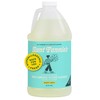 Aunt Fannie's Ultra Concentrated Floor Cleaner Vinegar Wash, Multi-Surface Solution