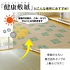 Oshimaya Anti-Bacterial/Dust Mites Health Sheet for 8 Tatami Mats, 4