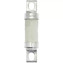 1 fusible tipo T 100FE (100 FEa) 100 A, 100 A, 690 V