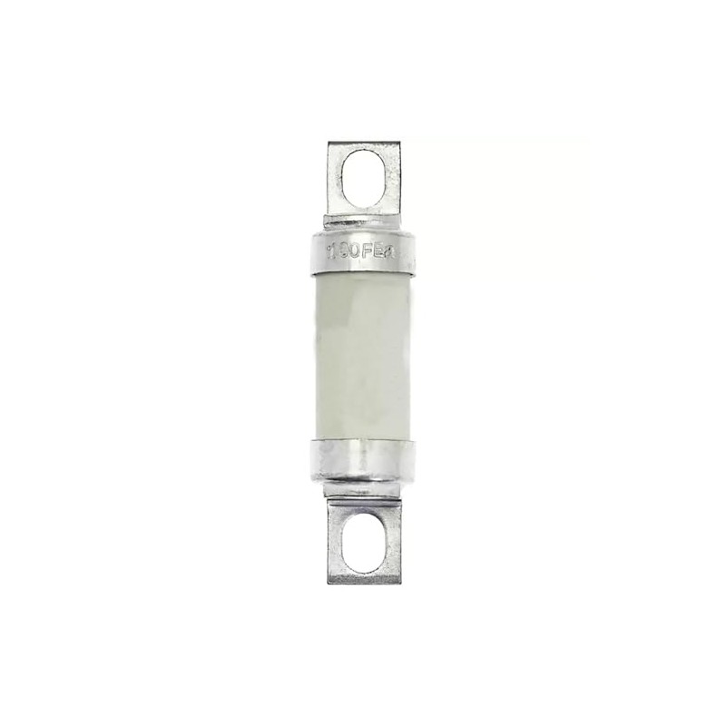 1 fusible tipo T 100FE (100 FEa) 100 A, 100