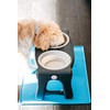 Dexas Pets Adjustable Height Double Pet Feeder, Light Gray