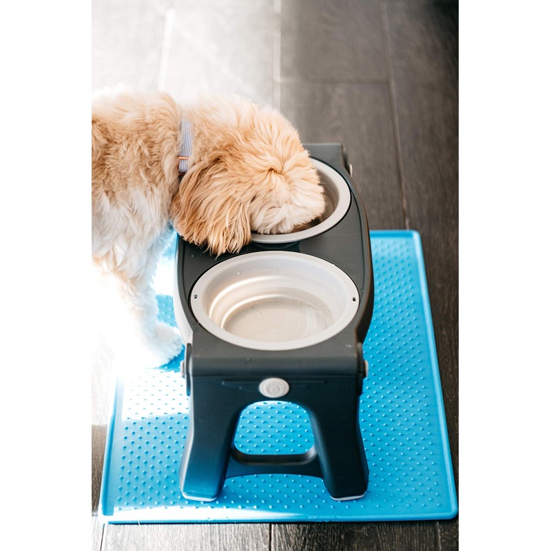 Dexas Pets Adjustable Height Double Pet Feeder, Light Gray