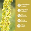 Olvvla - Mullein Tea Bags For Lungs - 3g X