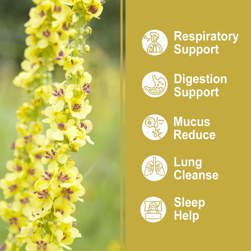 Olvvla - Mullein Tea Bags For Lungs - 3g X