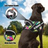 Animire Service Dog Harness and Leash Set, XS, Multi-Colored, with