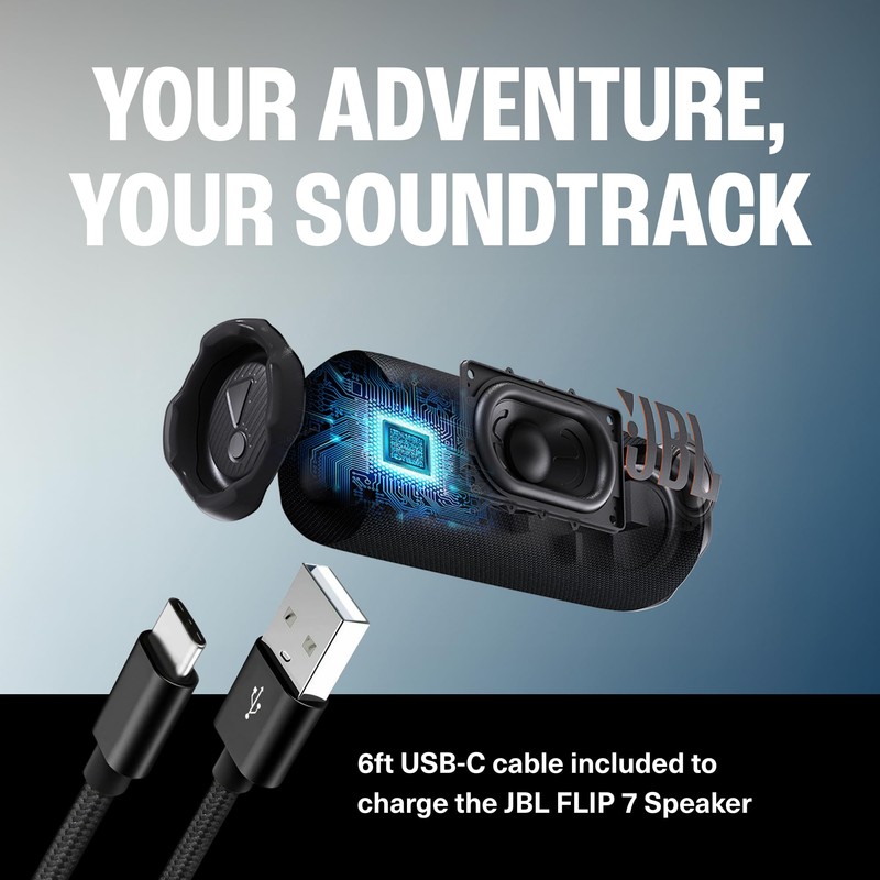 JBL Flip 7 (Black) + Bundle with USB-C Braided Cable