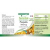 Fairvital | Bee Propolis Capsules - 500mg - HIGH Dosage