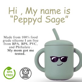 Fumiko Sippy cups for toddlers 1-3 – Adorable Personality Designs, Built-In Straw Lock, Easy-Grip Handles, (Winky Grey)