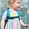Diono Unisex Baby Safety Rein and Backpack, Teal, One Size