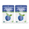 Nature’s Turn Freeze-Dried Blueberry Crisps – Healthy, Gluten-Free, Crispy &