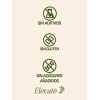Elevate Glicinanac Essential Cápsulas Suplemento Natural