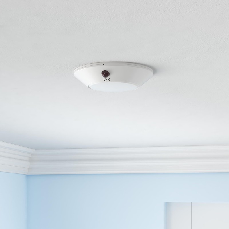 HONWELL Battery Powered Ceiling Light with Remote, Indoor LED Ceiling