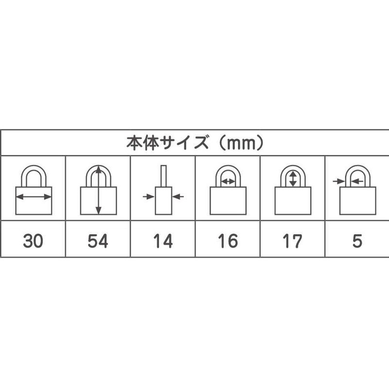 ABUS Brass Padlock EC75/30 KA Dimple Cylinder Number