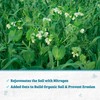 Cover Crop Pea + Oat - 1000 sq ft Coverage
