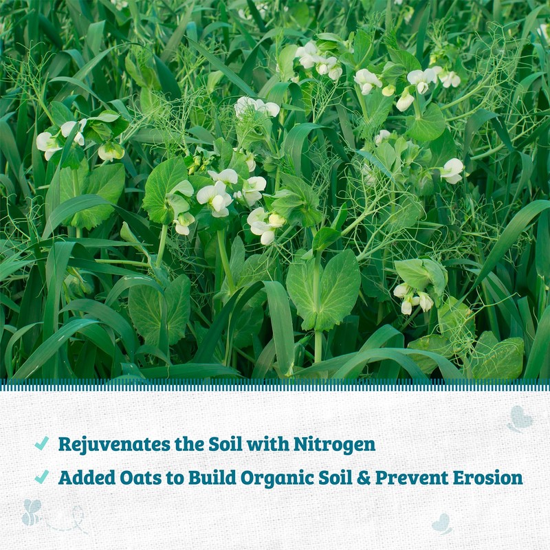 Cover Crop Pea + Oat - 1000 sq ft Coverage